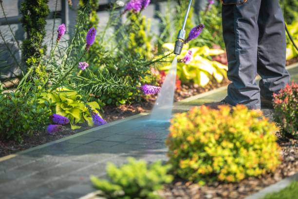 Best Building Exterior Pressure Washing in Muscatine, IA